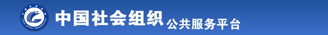 乐插插网全国社会组织信息查询